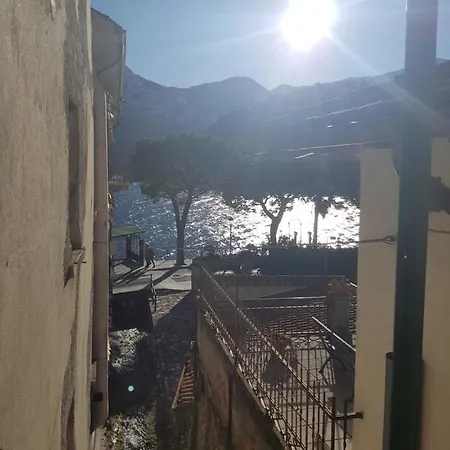 Domus Alba *