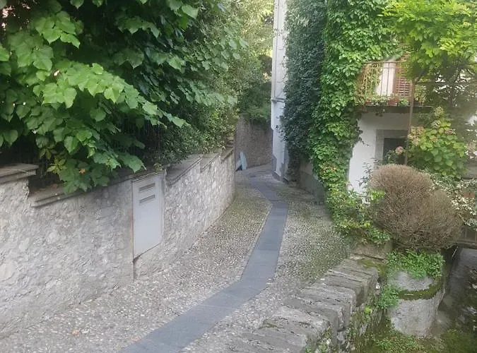 Apartman Domus Alba