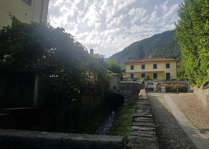 Domus Alba *