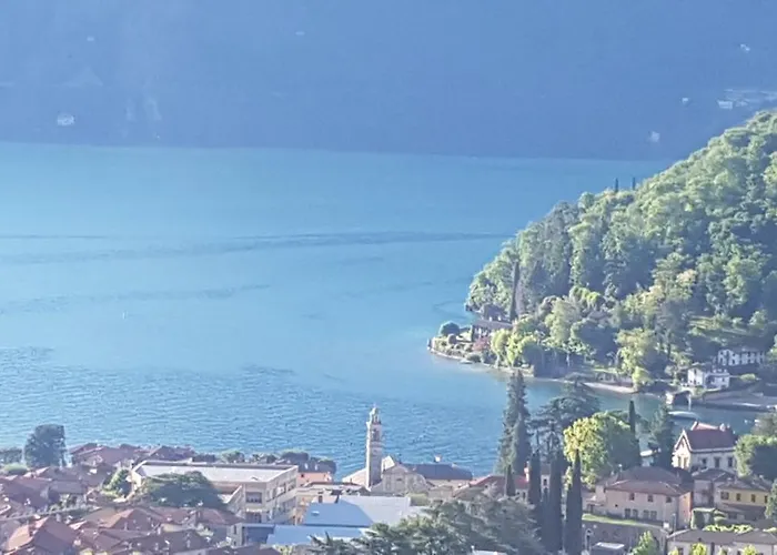 Apartman Domus Alba