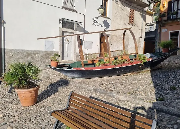 Domus Alba *