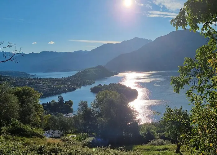 Domus Alba Apartman