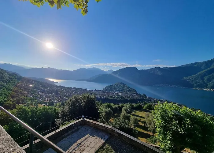 Domus Alba Apartman